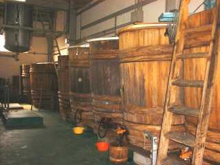 ���܂�����